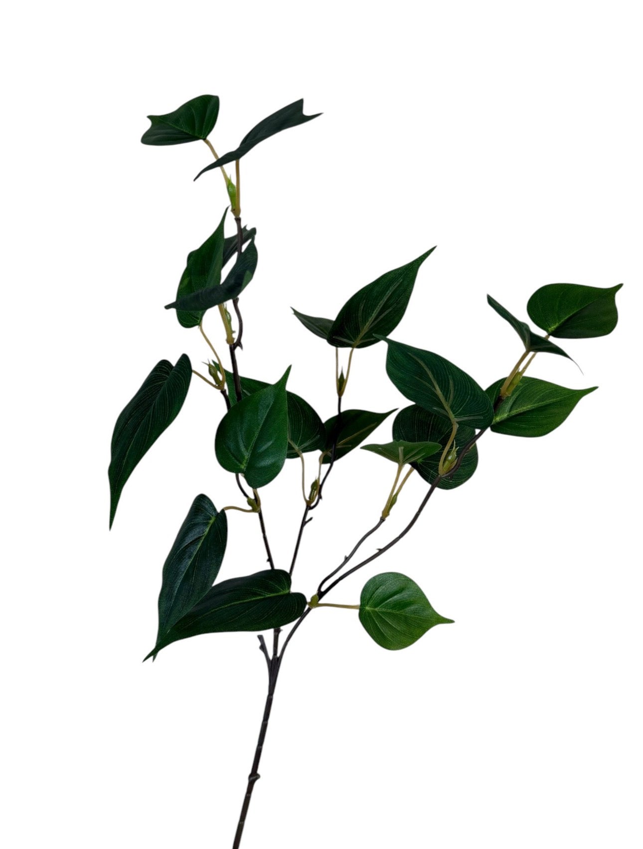 Blad