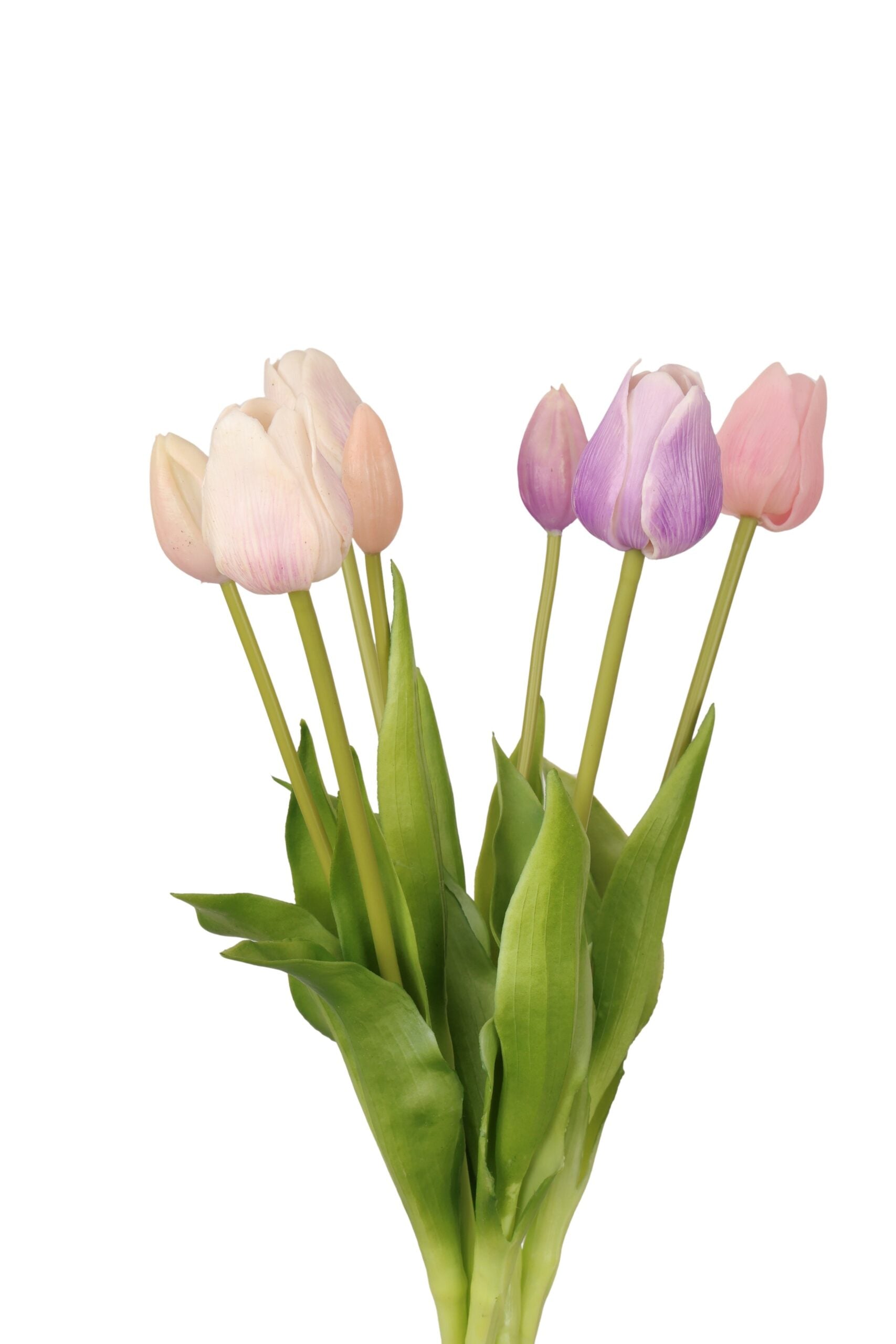 Tulpenbos paars