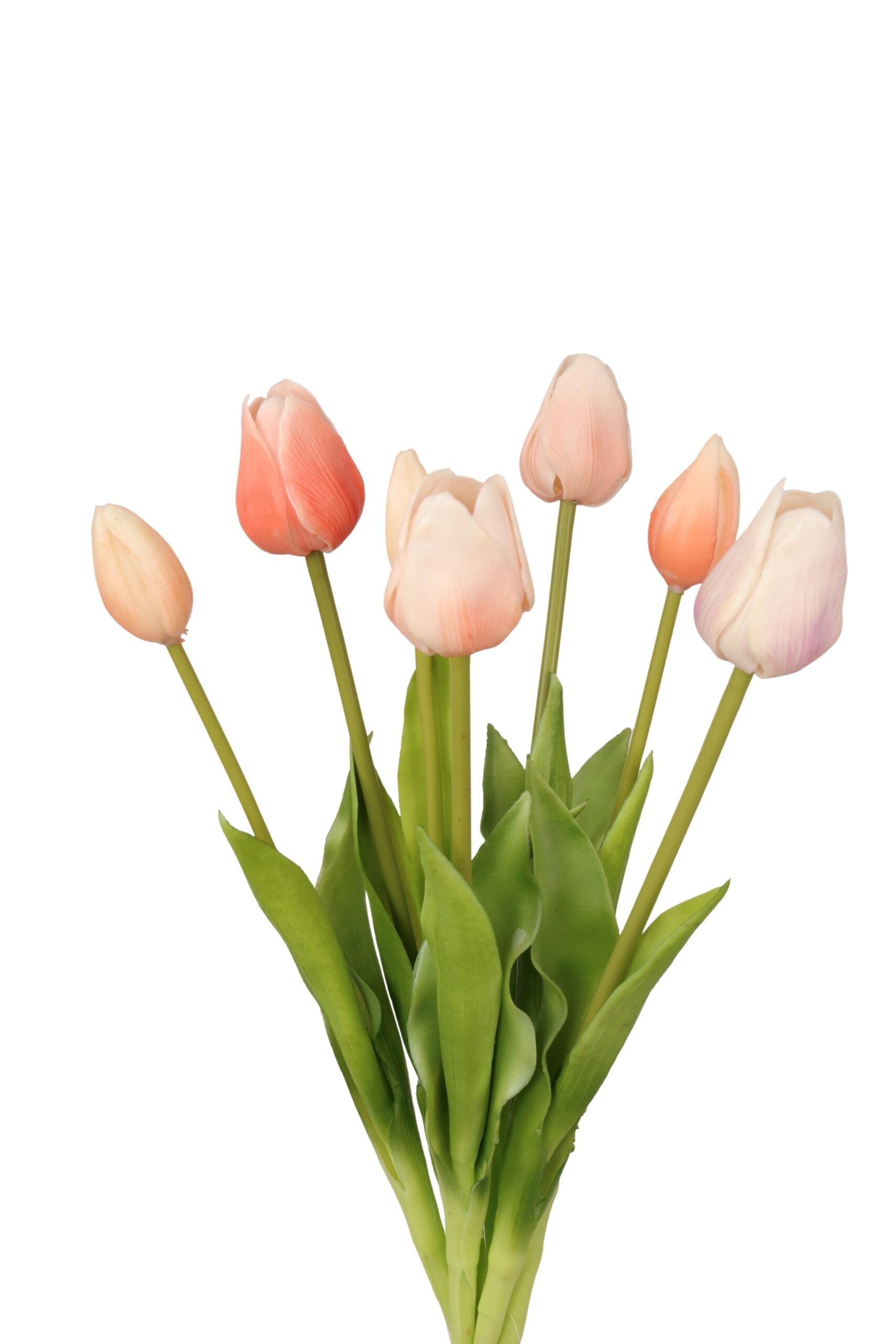 Tulpenbos perzik