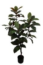 Dieffenbachia boom 155 cm