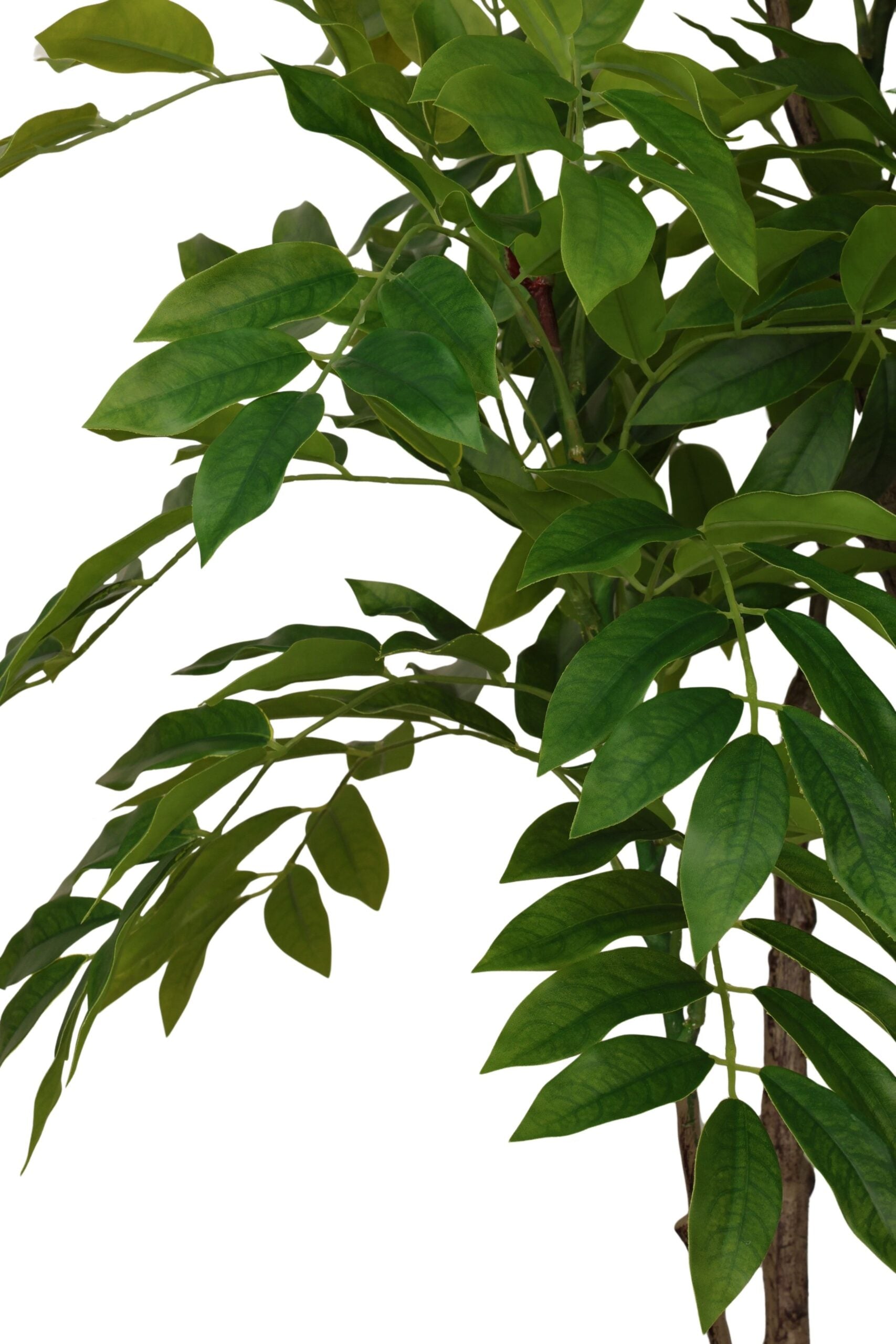 kerrie boom 155 cm groen