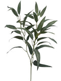 Eucalyptus groen