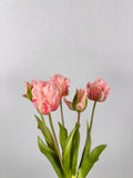 Tulpen roze