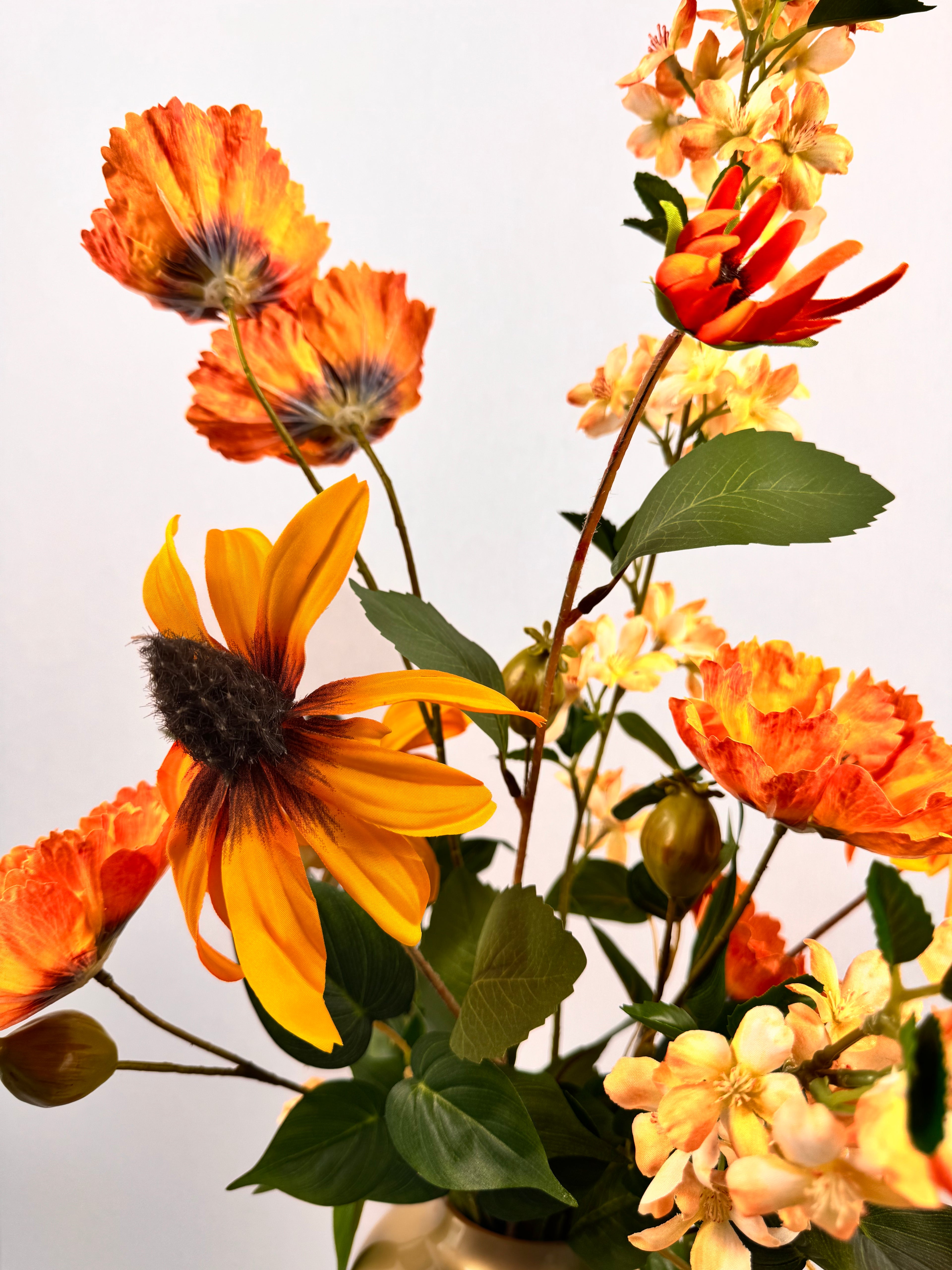 Easy Orange
