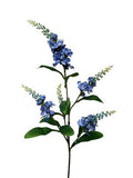 Lupin blauw